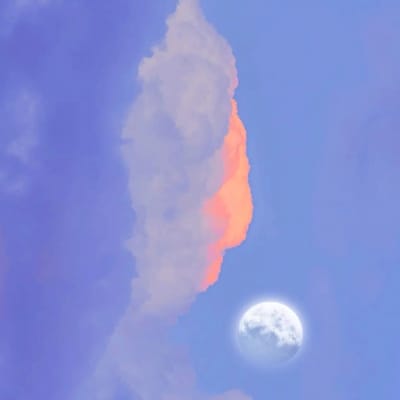 คริส พีรวัส avatar